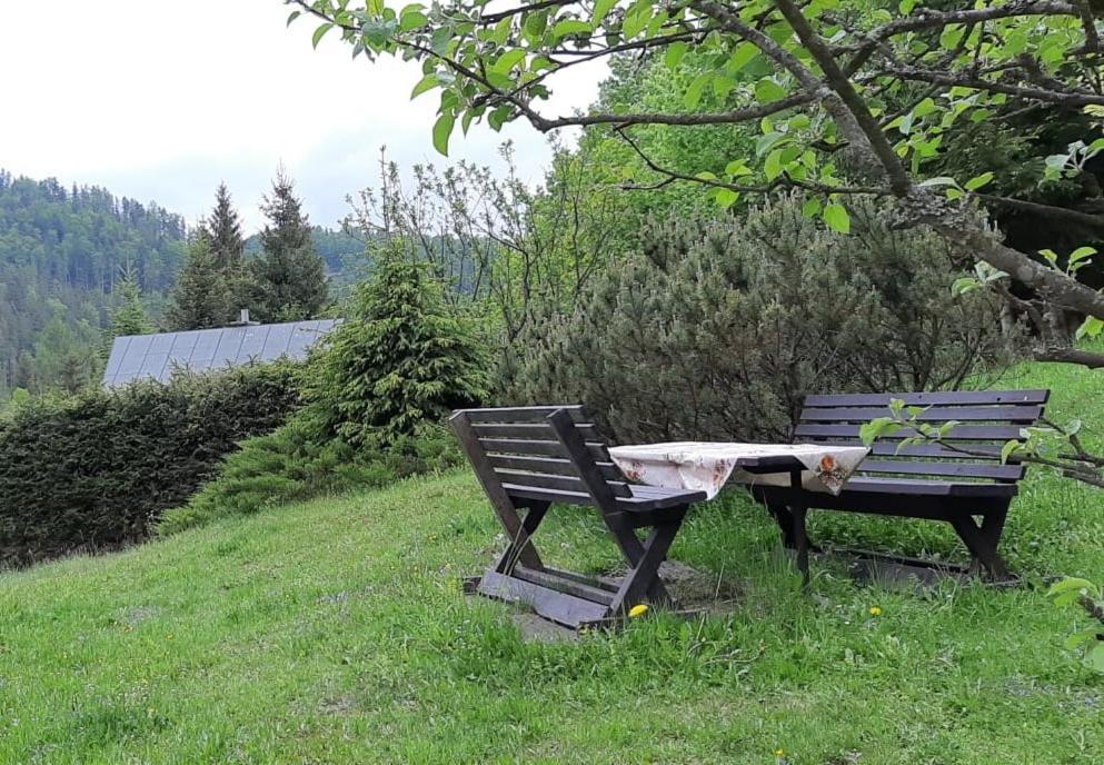 Villa Fleurs De Myto Mýto pod Ďumbierom Exterior foto